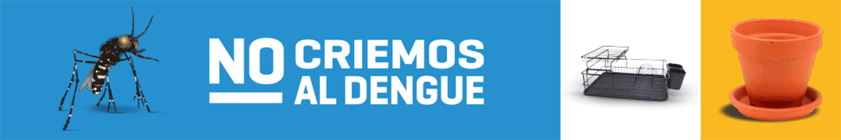 2025 Gobierno Dengue