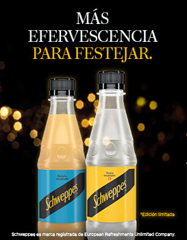 Banner Schewpss 2025 - lateral