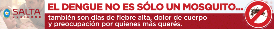 Gobierno Salta 2025 Dengue- top de nota principal