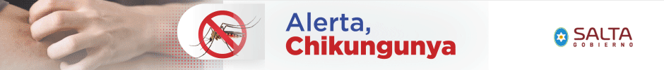 Gobierno Salta 2026 Chikungunya- top de nota principal