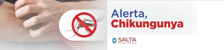 Gobierno Salta 2026 Chikungunya- top de nota principal