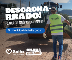 Banner Municipalidad Descacharrado - lateral