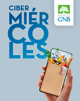 CASA RICA (Ciber GNB) - WEB