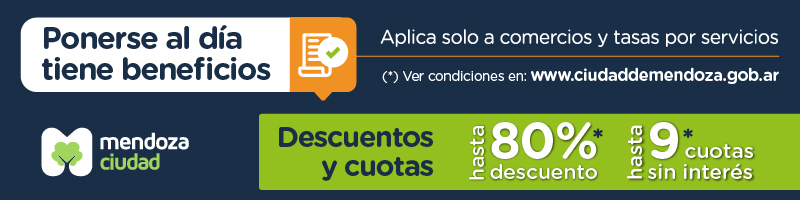 2026 Mendoza Ciudad - Chatbot (web y mobile)