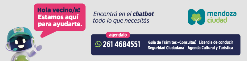 2026 Mendoza Ciudad - Chatbot (web y mobile)