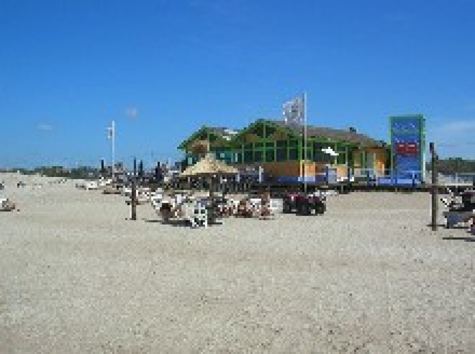 Playas Bosques Dunas Todo Todo En Pinamar