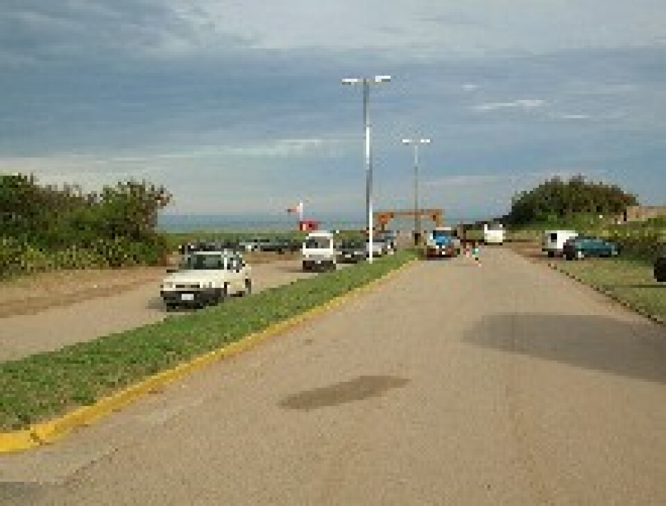 Playas Bosques Dunas Todo Todo En Pinamar