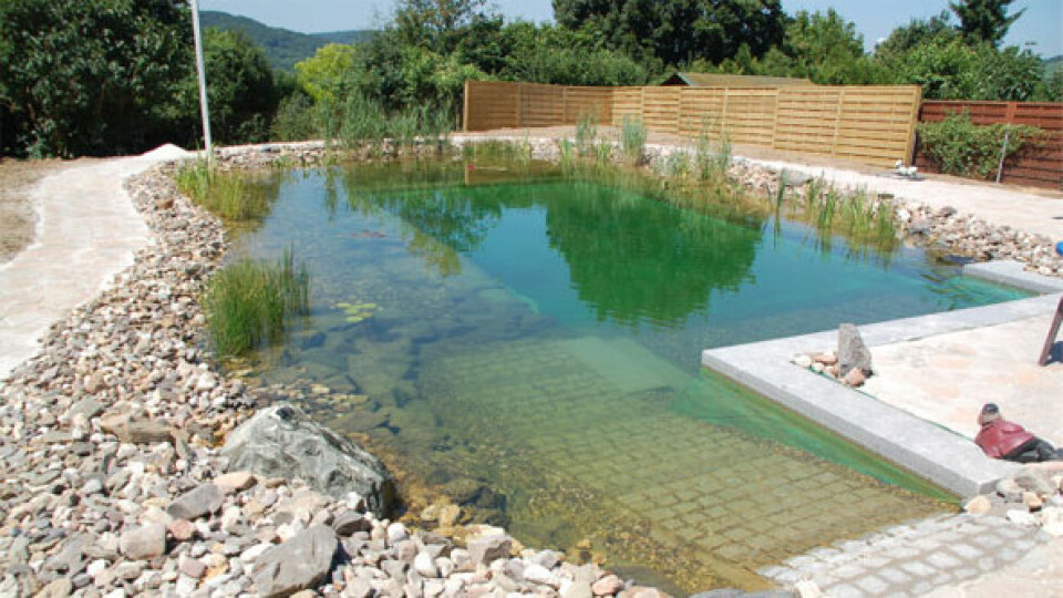 Piletas naturales (aguas limpias sin químicos)