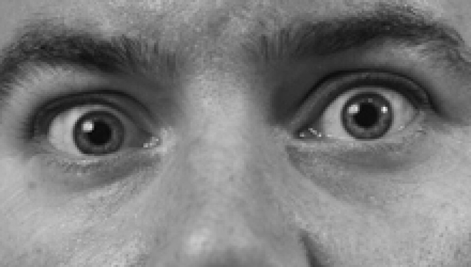 La mirada de Charles Campbell (Translation Back Office)