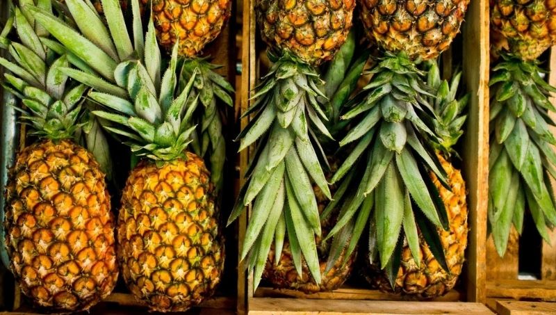 Piña: la reina de las fiestas con buena comercialización interna y ...