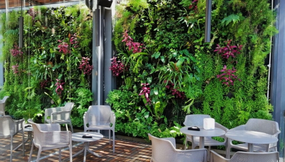 Cómo diseñar un jardín vertical natural, según dos paisajistas - Foto 1