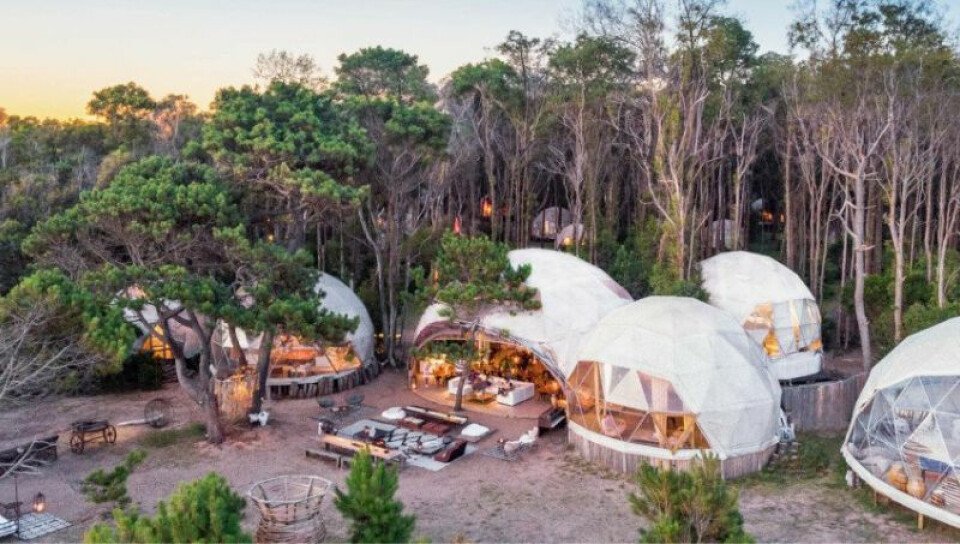 Big Bang Nature Stays - imagen 3