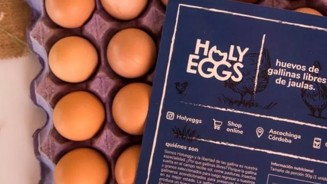 Holy Eggs, el emprendimiento cordobés que vende 18.000 huevos pastoriles al mes (y busca llegar a las dietéticas)