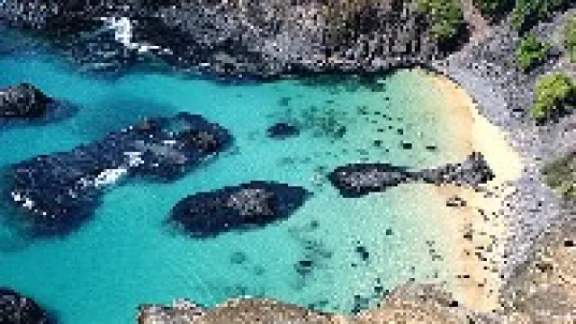 La temporada a Brasil será muy buena (“gracias” a TAM)