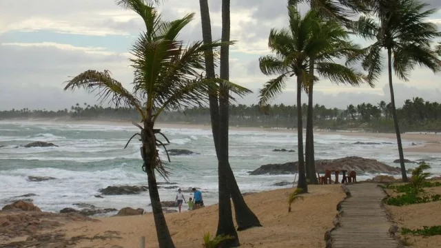 Todos en familia rumbo a Costa do Sauipe