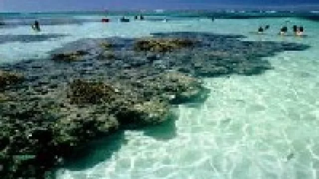 Maragogi: villa de arrecifes y piletas naturales