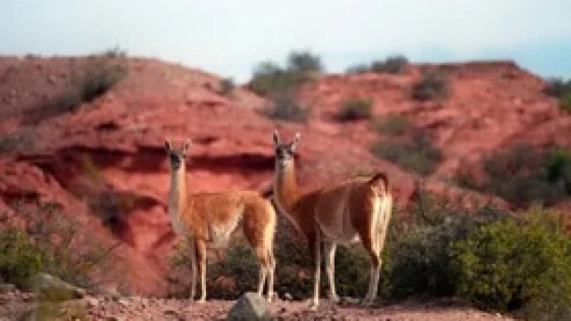 Unas mini-vacaciones vendrían bien, ¿no?