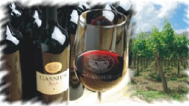 El Vino de la Semana: Hoy Cassius Bonarda.