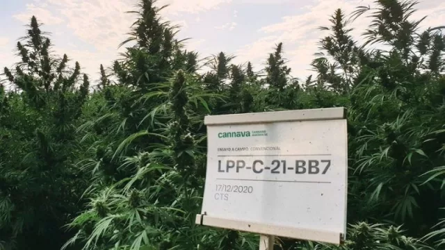 De la Forbes a la Rolling Stone: Jujuy se instala en agendas mundiales