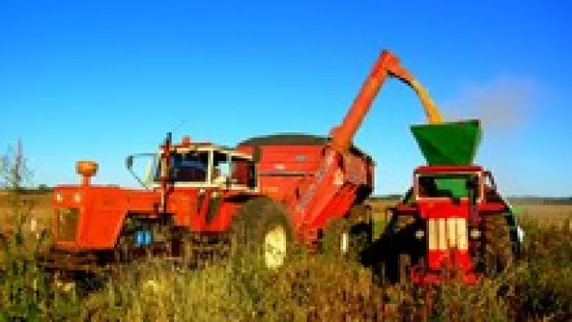 Tres razones para no invertir en un pool de siembra