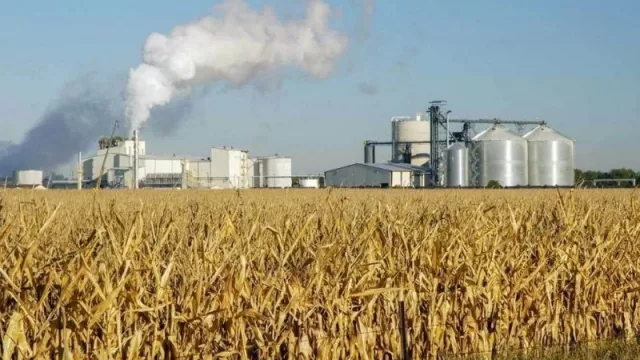 Horas decisivas: ya habría una definición del Gobierno sobre la Ley de Biocombustibles