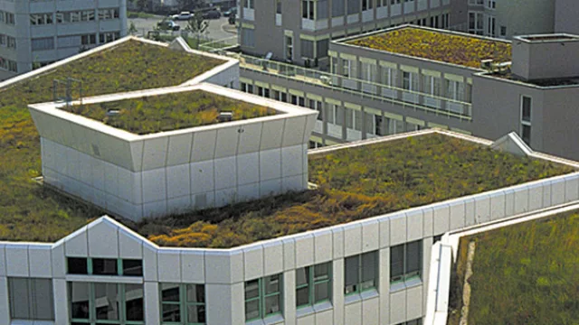 La comuna analiza promover la parquización de techos y terrazas