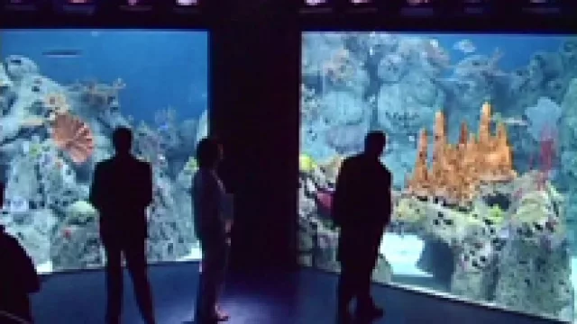 ¡Qué animal este manual!