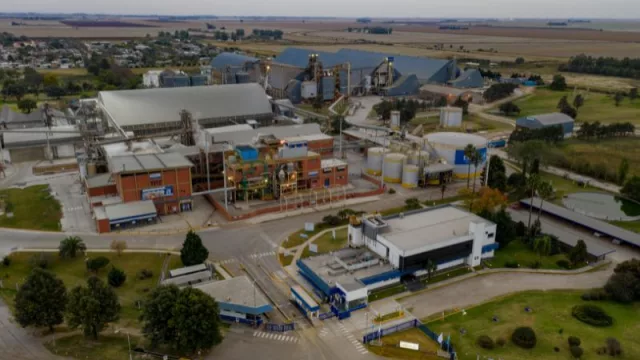 ¿Joven profesional en busca de trabajo? Bunge sumará 27 posiciones en Argentina (entre ellos busca ingenieros)