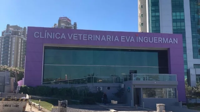 La Clínica Veterinaria Eva Inguerman se muda y se multiplica: pasa de 50 a 150 “camas” de internación para perros y gatos
