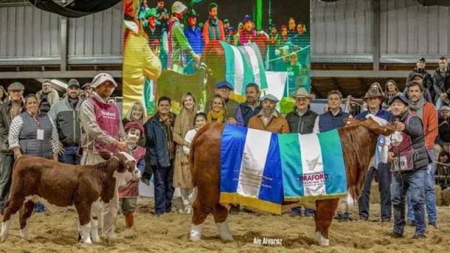 Histórico precio para la Gran Campeona Braford de la cabaña chaqueña San Carlos en el Mundial Braford 2022