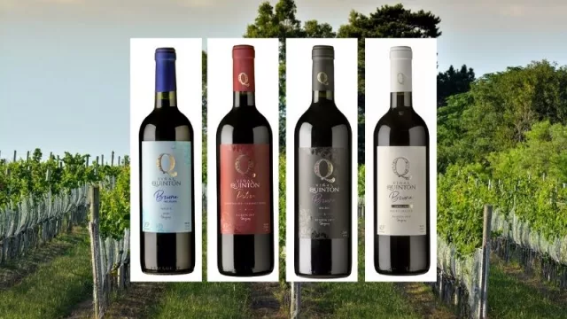 El tereré en PY ahora tiene sabor UY (Canarias llega a través de la empresa Exent Paraguay)