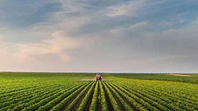 En busca de una ley de bioinsumos agrícolas: un escalón a la agricultura del futuro (Brasil ya entró en la bioeconomía)