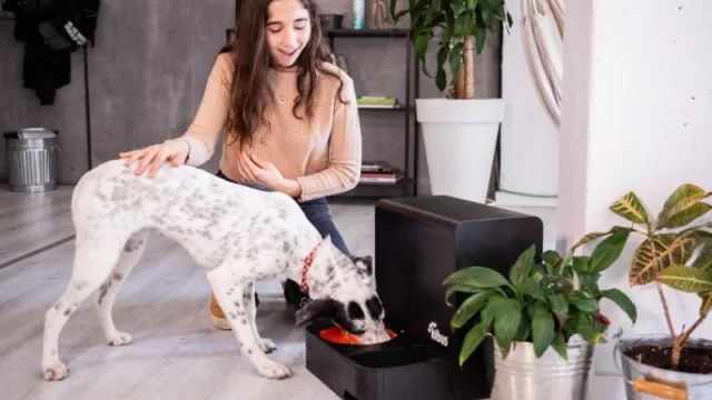 Kibus Petcare, la “Thermomix” de los  perros: una startup que ofrece una alimentación saludable para mascotas