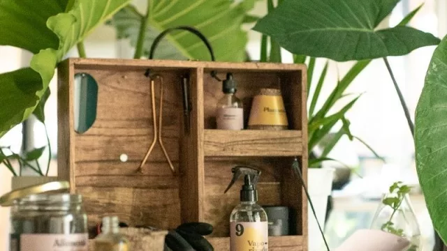 Terrapy: un emprendimiento para hacer “terapia de plantas” (kit de jardinería para hobbistas y hasta podcast)