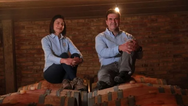 Vanguarvid, la plataforma digital que une a los actores del vino 