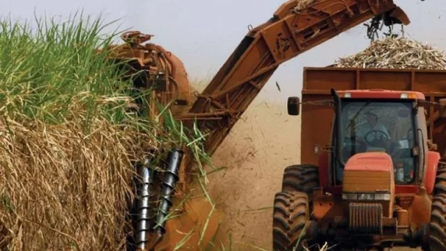 Impulsan la creación del Instituto Nacional de Azúcar y Alcohol