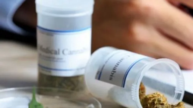 ¿Planta, aceite o cigarrillo de marihuana? Cuál es la disposición legal alrededor del mundo para el cannabis 