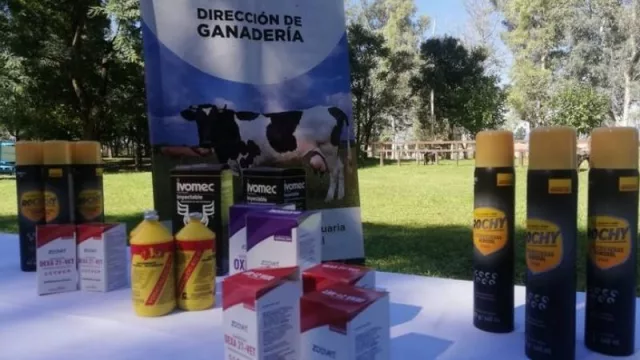 Asistencia para el sector productivo de la provincia: ayuda para pequeños productores