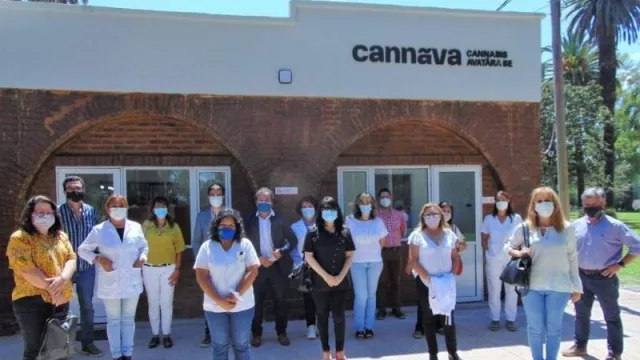 Cannava: la pionera en el país en cannabis medicinal educa al  sumar actores 