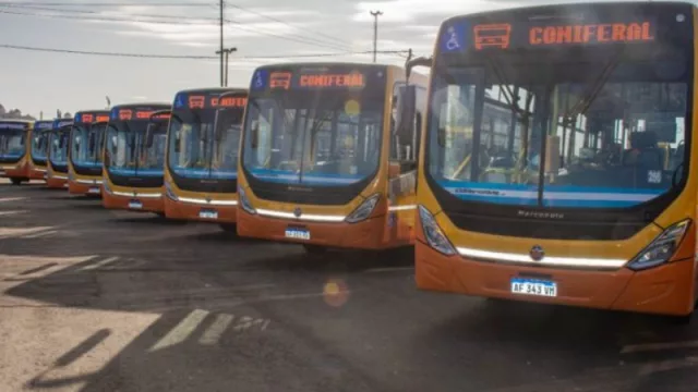 Otros 30 colectivos 0 km se suman al transporte urbano