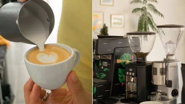 Café con Ciencia: la primera cafetería de especialidad en Neuquén se expande con todo