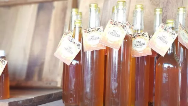 Miel Orgánica del Monte Chaqueño, un producto con calidad de exportación 
