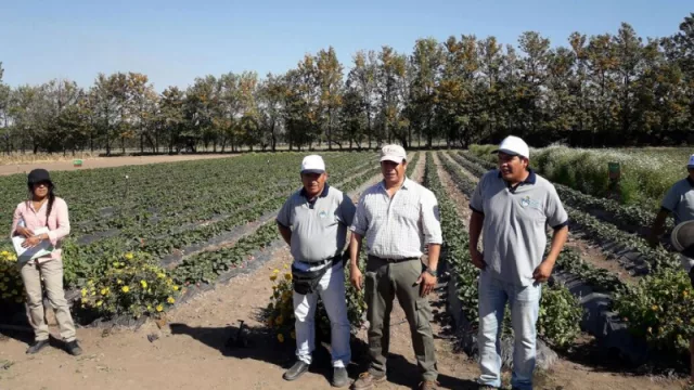 Nación lanzó créditos para agricultura: incluyó a Jujuy entre las 11 provincias 