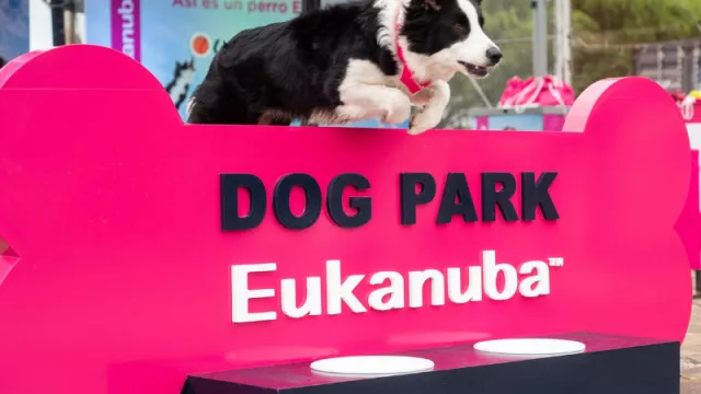 ¿Te gusta el tenis y tenés perro? InfoNegocios y Eukanuba te llevan al Córdoba Open este martes
