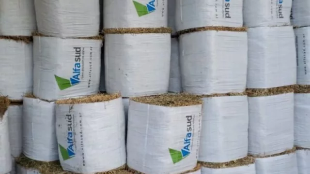 Las 15 pymes cordobesas que lograron su primera exportación en pandemia (desde fardos de alfalfa hasta software)