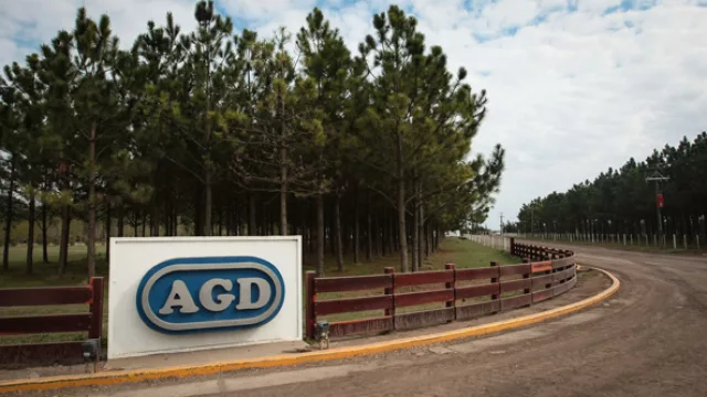 El gobierno imputó a grandes empresas de proveedores de alimentos por faltantes en góndolas (ligaron AGD y Paladini, entre otras)