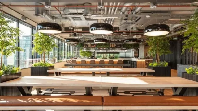 Qué es la neuroarquitectura y por qué aplicarla en tu empresa puede hacer más felices a tus empleados