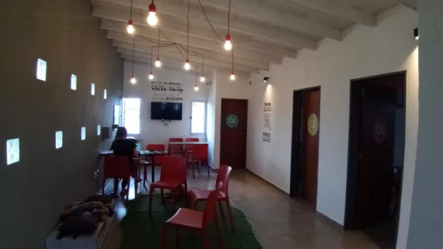 CiL, centro de idiomas cordobés que aplica la neuroarquitectura en sus espacios.