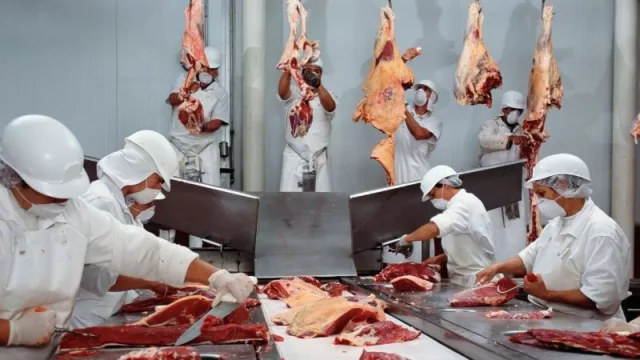 Proyectan modificar antigua legislación de faena para modernizar frigoríficos