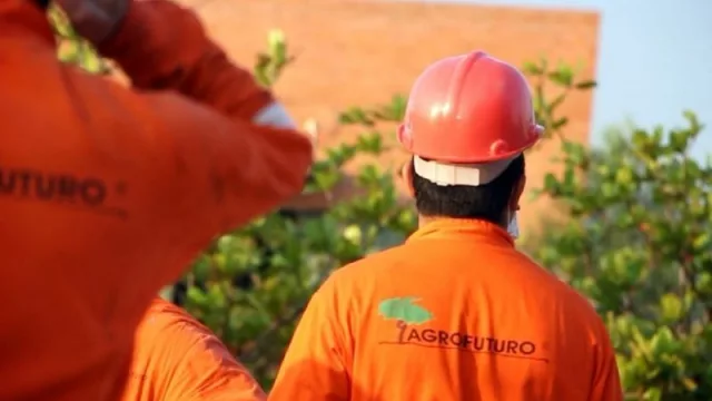 Exportaciones inusuales 2020: Agrofuturo y Agpar SA enviaron agroquímicos y vidrios premium a Colombia y Uruguay